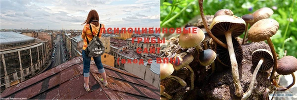 герыч Абдулино